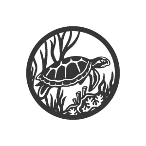 Circulo Tortuga