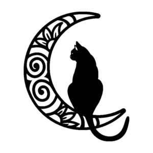 Gato en la Luna