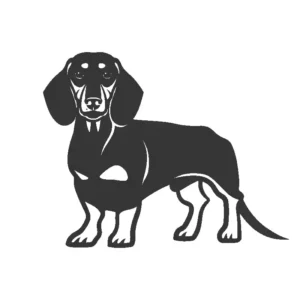 Perro Salchicha