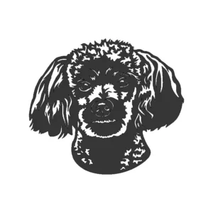 Perro Poodle (cara grande)